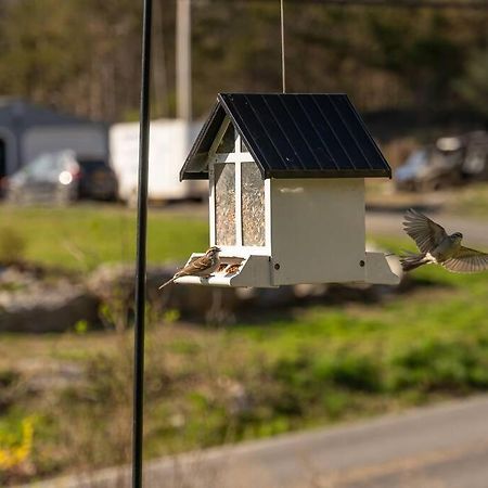 Cozy Cottage, Hot Tub, Fire Pit, 15Min To Hudson And Hiking Catskill Eksteriør billede