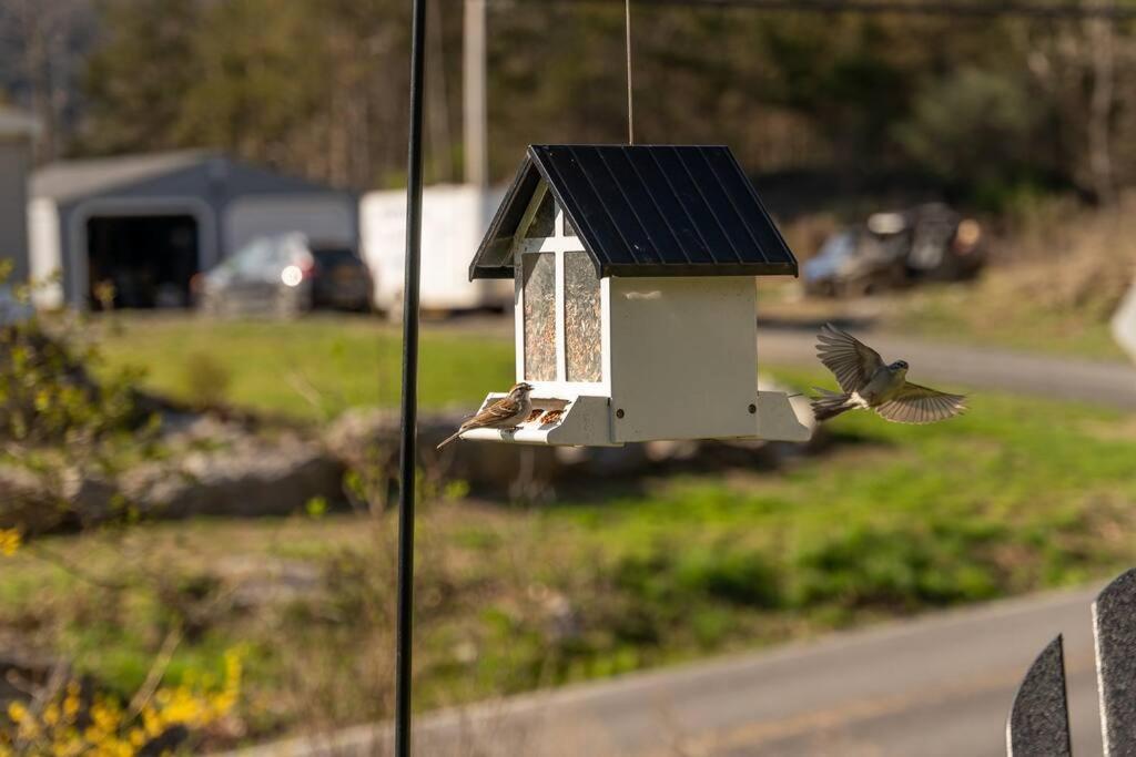 Cozy Cottage, Hot Tub, Fire Pit, 15Min To Hudson And Hiking Catskill Eksteriør billede